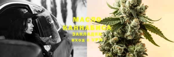 тгк Лагань