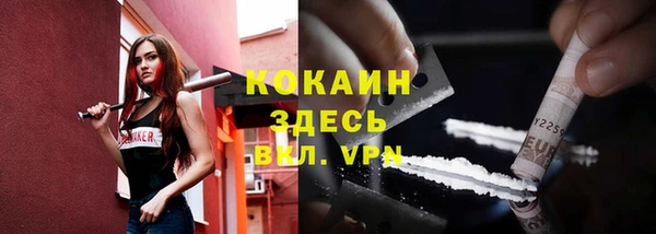 тгк Лагань