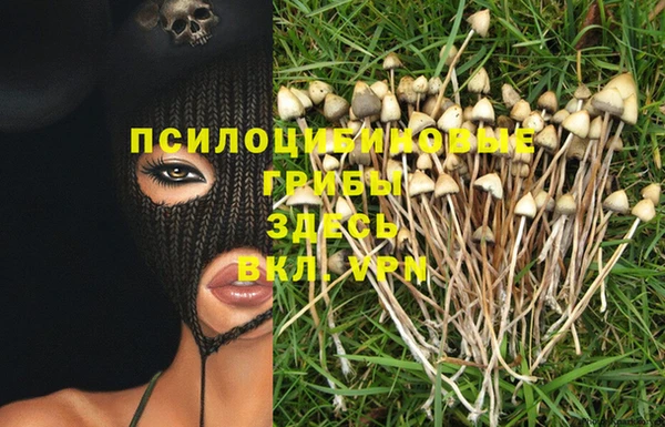 MDMA Кукмор