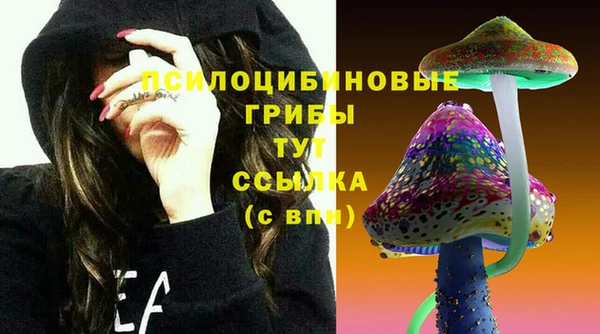 2c-b Куйбышев