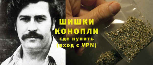 амф Ладушкин