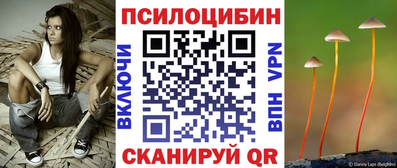 Купить закладки Коломна Псилоцибиновые грибы MAGIC MUSHROOMS